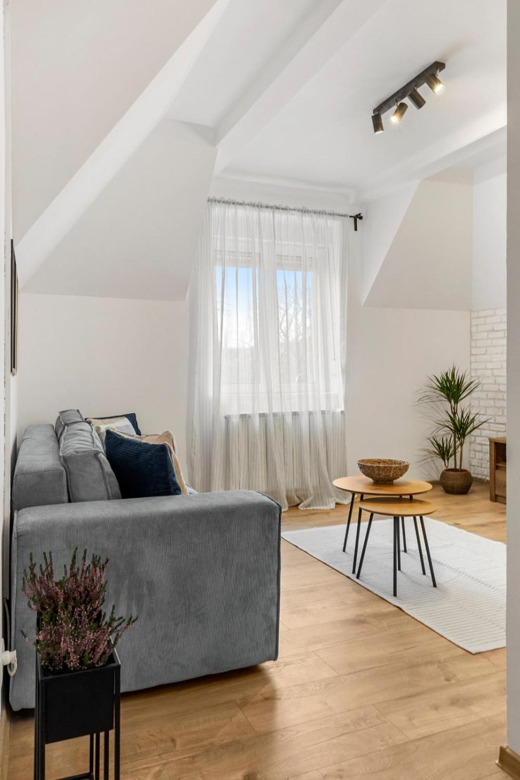 Apartment Herman Park View Cozy